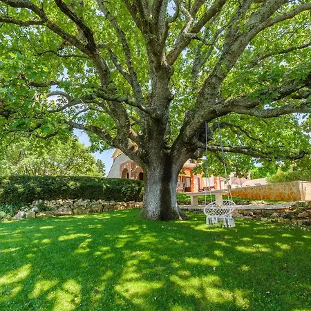 Hrast Bacva Villa